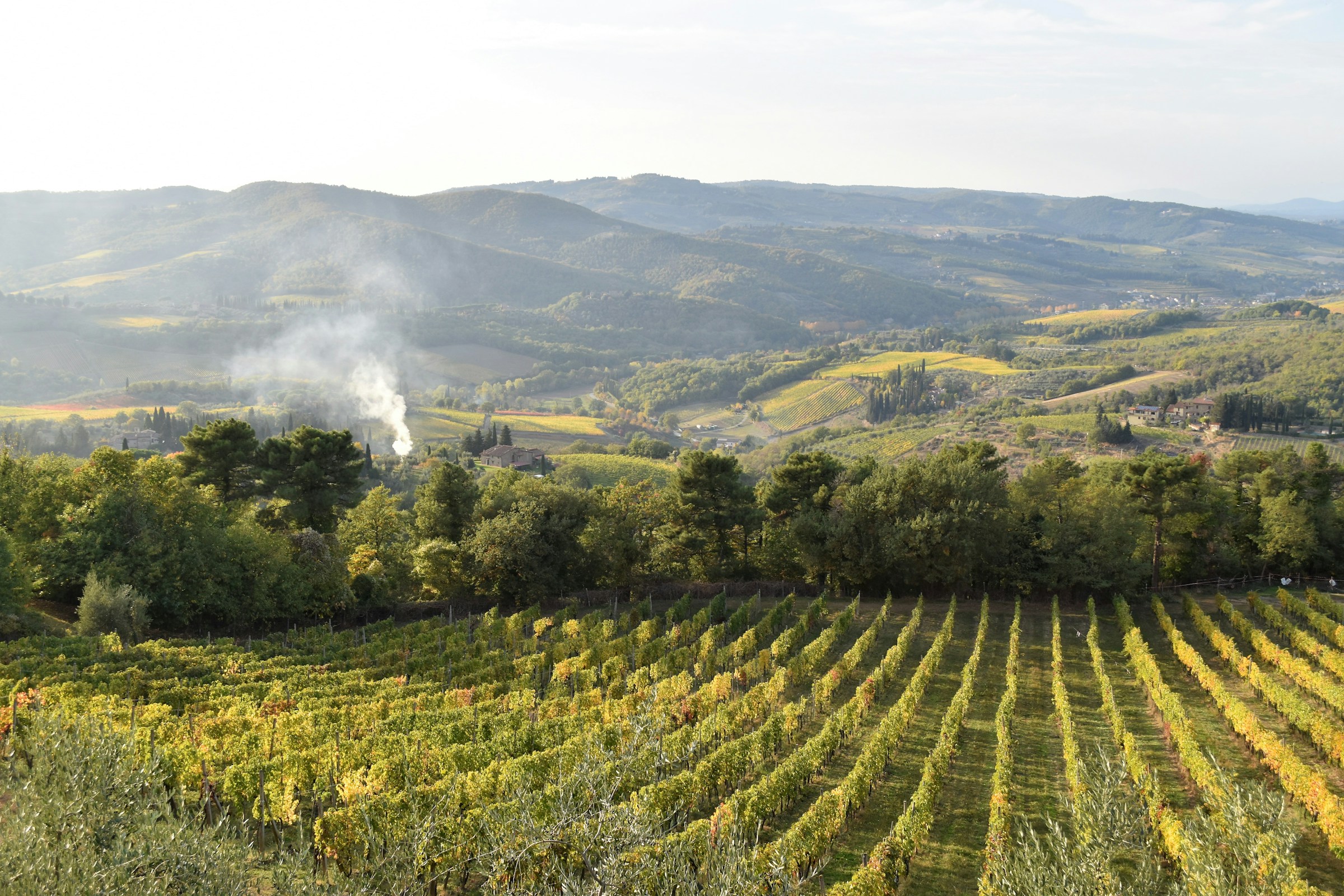 Vinhedos e colinas de Greve in Chianti, Toscana, fotografados por Ken Shono